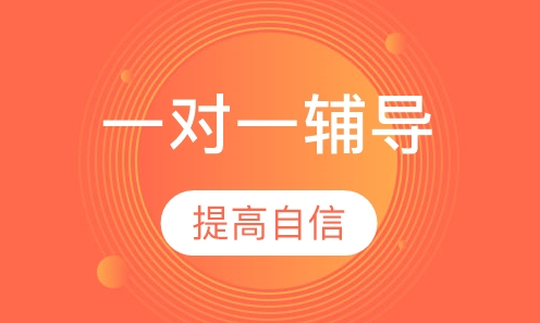一对一辅导